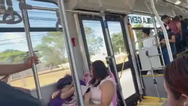 Modo Supervivencia