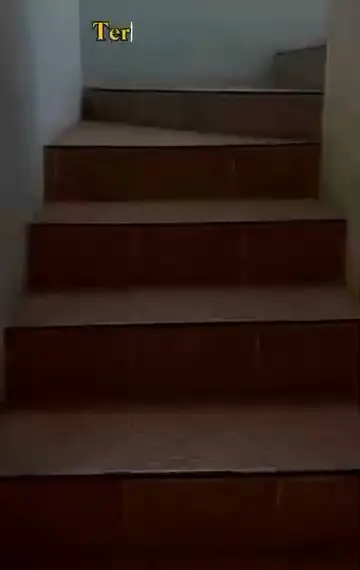Sustos de algodón